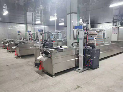 休閑食品拉伸包裝機案例